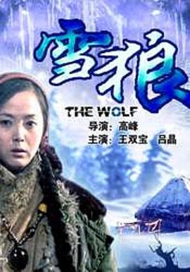 91视频网《雪狼2006》免费在线观看