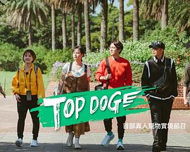 91视频成人网站《TOP DOG》免费在线观看