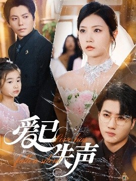 91视频网《爱已失声》免费在线观看