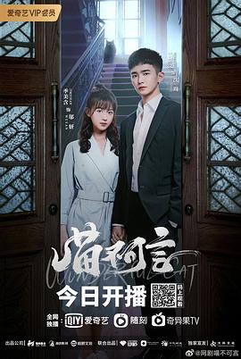 91视频网《喵不可言》免费在线观看