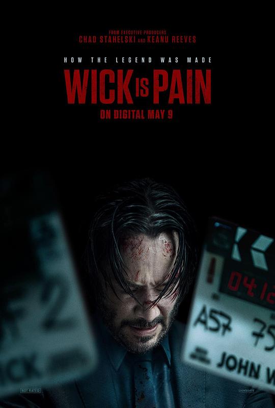 91视频成人网站《疾速剧痛 Wick Is Pain》免费在线观看