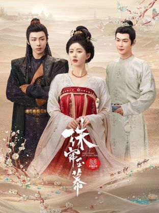 91视频入口《珠帘玉幕》免费在线观看