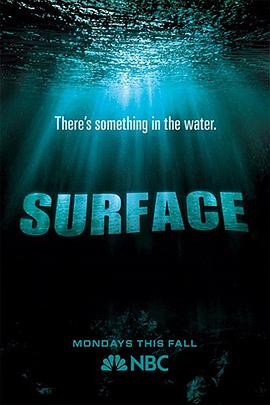 91视频成人网站《水下之秘 Surface》免费在线观看